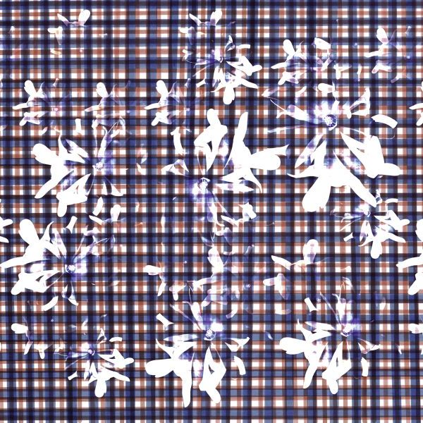 Bloom WPN 101