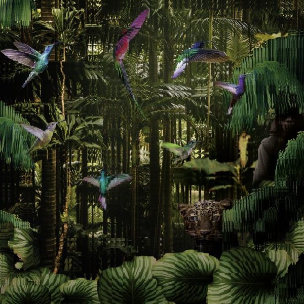 Jungle WPN 106
